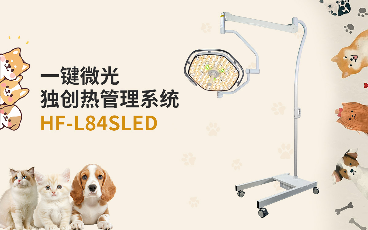 HF-L84SLED中文.jpg