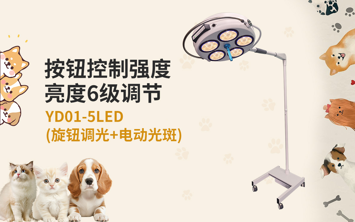 YD01-5LED中文.jpg